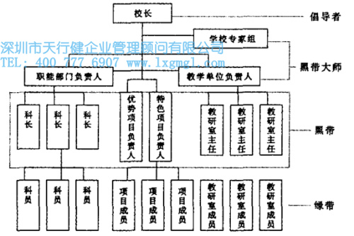 图2 微观层面组织模型.jpg